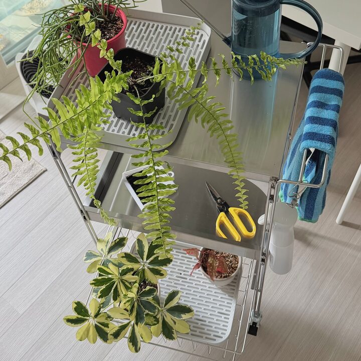 short form carousel card thumbnail