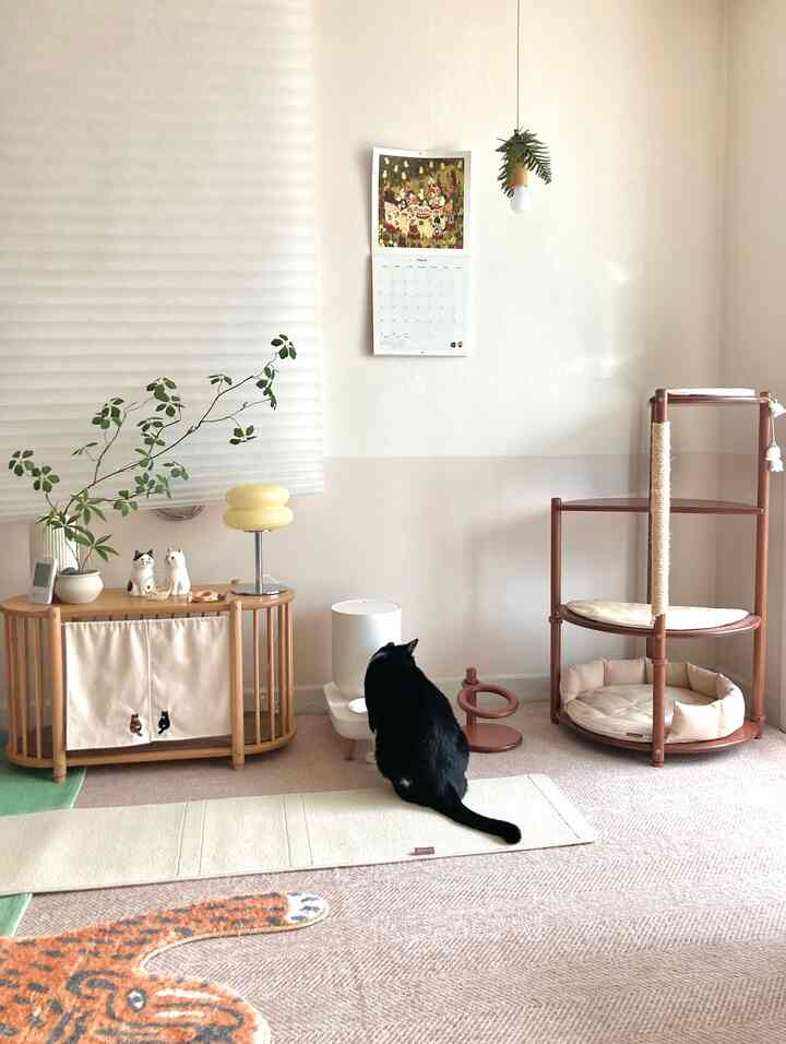 ＃家がプレゼント辞書＃コンスープ記録集
＃猫と一緒に暮らす家＃猫がいる家
＃猫のインテリア＃執事の家＃猫の執事
＃猫の家のインテリア＃キャットタワーのインテリア
#キャットタワー #キャットタワーおすすめ #ミニキャットタワー