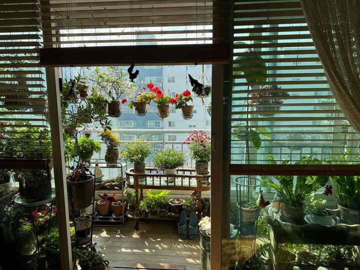 ＃ベランダを飾る＃チャレンジ

お母さんの空間にも春が訪れます🌸
いつもきれいで整理が上手なママのベランダ
日光がよく入ってきて、花の色もきれいです😄
お母さんのベランダを飾る

#植物の妖精＃部屋の装飾＃部屋のインテリア＃寝室＃コンスープ記録