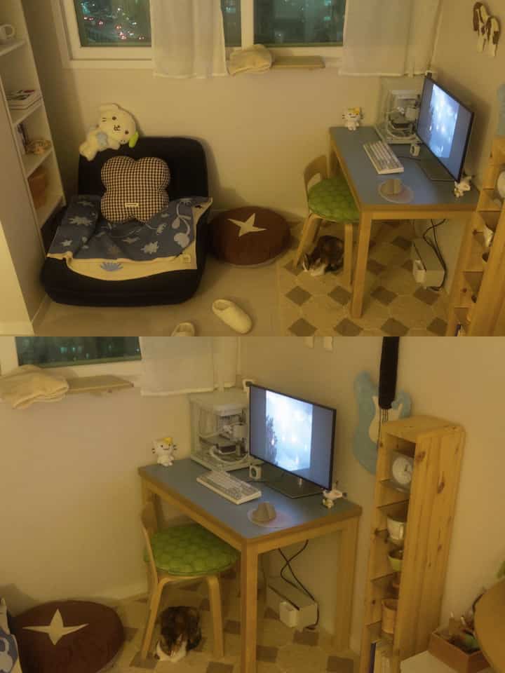 ナチュラルな木目調と白い壁のコンパクトなホームオフィス空間、デスクや椅子、ソファと共に猫がくつろぐ雰囲気のあるインテリア
