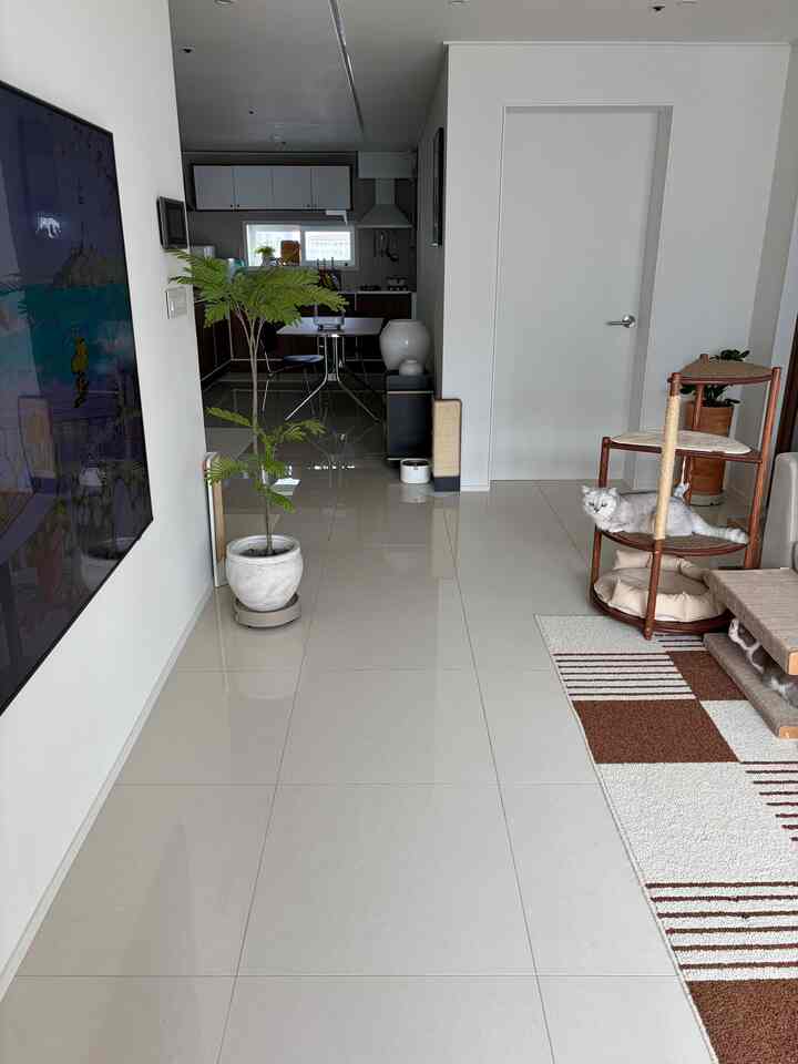 かわいいシャクナゲの色合い

我が家のスクラッチャーアジャンテム1ランク
博士フェリススクラッチャー

レンギの爪管理と
シャクナゲの色合いを作る愛蔵テムです。 

毎日どこ？  #펫테리어 #냥테리어 #콘수프기록집 #고양이스크래쳐 #스크래쳐 #러그 #러그인테리어 #캣타워 #서브캣타워  #고양이집사 #집사인테리어 #집사 #타일카페트 #콘수프기록집 #현명한소비 