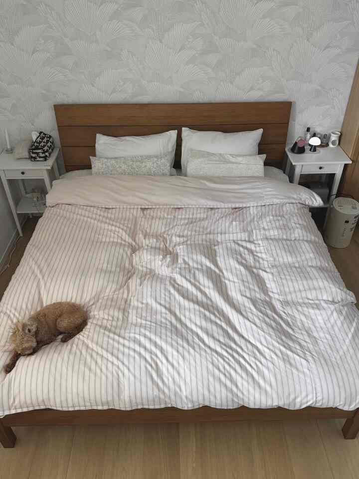 春を迎え、ピンク色の布団カバーに変えました。 
（中はまだグース布団ですが..）
カバーだけを変えたのにずっと春の感じがするようです！
ふわふわして子犬も大満足中🙌🏻

布団カバーを変えるだけでインテリアが大きく変わって欲ができるアイテムです。

#ウッドフレーム＃コンスープ記録屋＃布団カバー＃枕カバー＃寝室を飾る＃寝室のインテリア