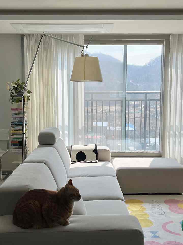 白を基調とした明るく自然な雰囲気のリビング、広いコーナーソファとフロアランプが配置され、ソファに猫が座っている印象的な空間