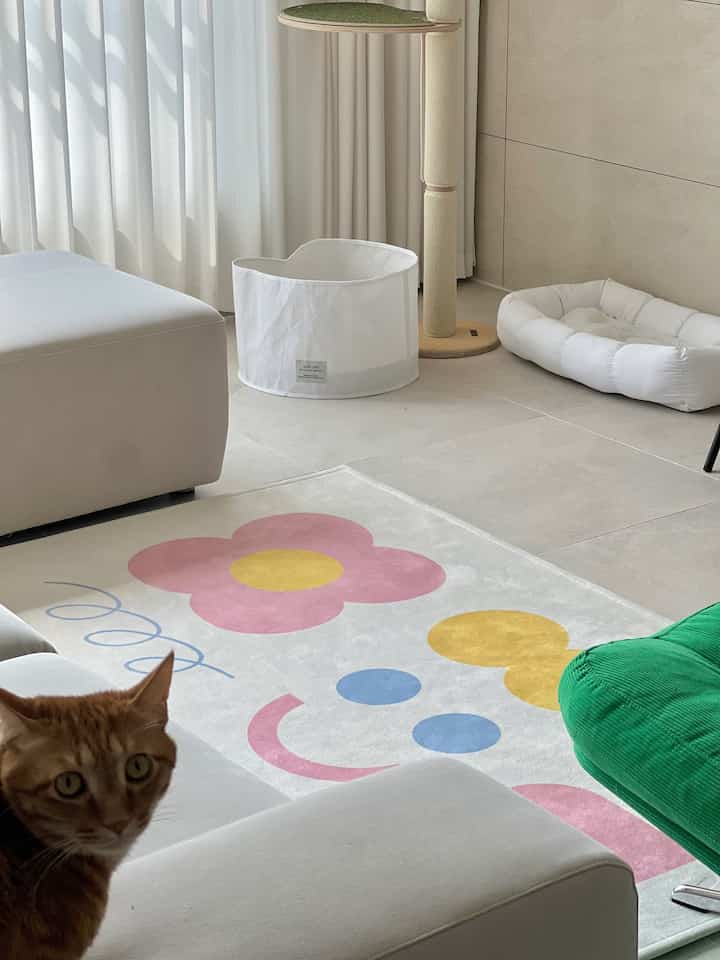 白とベージュの明るく清潔なリビング、スマイル柄のラグ、猫、爪とぎ、ペットベッドが配置されたペットフレンドリーな空間