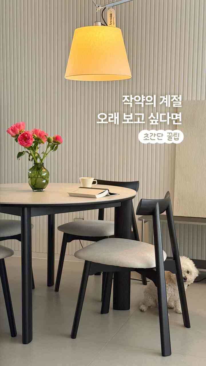 すでに牡丹の季節が来ました🌸
昨年は花市場でコーラル牡丹を難しく連れてきました。
今年は家で受けてみると世界は楽ですね、、ㅎㅎ

新鮮すぎるのでコンディショニングもほとんど必要ありません。
長さだけ少し切りました💓

牡丹を長く見る方法を探していくつか従ってみました。
効果があるようなので共有してみてください🤗

1. 保存剤がなければ砂糖で栄養を与える
2.シャクヤクは涼しい温度が好きで氷を入れてくれる
3.水は毎日毎日新鮮に挽く
4. 茎の先端は斜線で（水を替えるごとに1-2センチ）

涼しい気温が良いのにリビングルームに置いたら、日差しをたくさん受けましたが
思ったより長く行きました！


＃インテリアノウハウ＃コンスープ記録集＃今日の家＃家の飾り＃花を見る方法＃花管理＃コンディショニング＃プランテリア＃植物インテリア＃花宅配＃季節の花＃花ギフト＃生花＃ペット