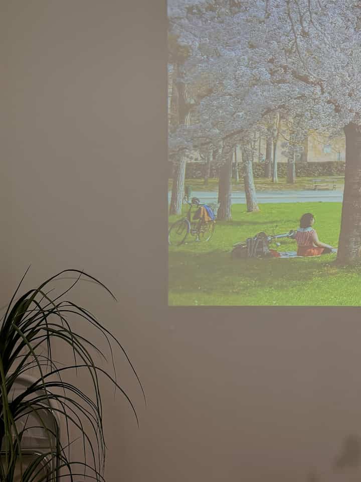 ジプスンの桜の花🤣🌸🌸

＃今日の家＃家の装飾＃セルフインテリア＃部屋の装飾＃ホームスタイリング＃自宅で最も忙しい＃家のインテリア＃構築アパートのインテリア＃構築アパート＃ウッドインテリア＃居心地の良いスペース＃ヒーリングタイム＃私たちの家＃ダイニングルームスタイリング＃ダイニングルーム＃プランテリア＃照明レストラン＃照明インテリア＃ビームプロジェクト＃ビームテリア