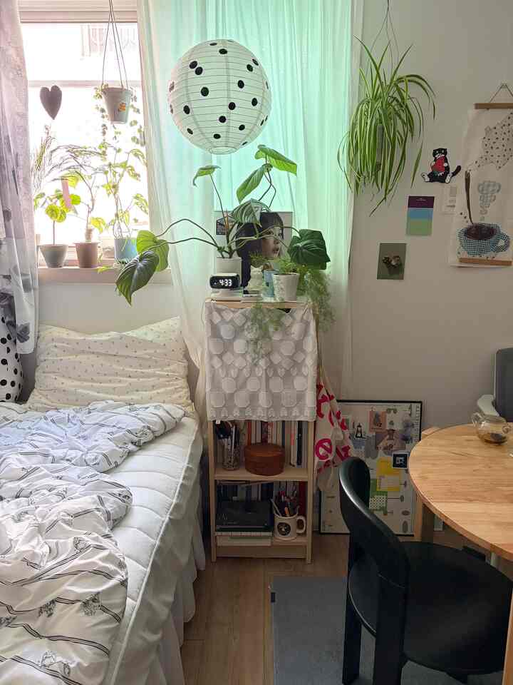 白とナチュラルカラーのワンルーム寝室、中央に本棚と時計、多様な植物が配置された雰囲気のあるインテリア