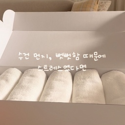 #현명한소비 #콘수프기록집
수건 때문에 은근 스트레스였던 분들…🙋🏻‍♀️
먼지 날리고 뻣뻣한 느낌 때문에 계속 바꾸게 되더라구요.
그래서 바꿔본 테리크 호텔수건🧺
딱 호텔에서 쓰던 그 도톰하고 부드러운 느낌이에요
200g 고중량이라 물기 흡수가 정말 빠르고
40수 코마사라 그런지 촉감도 훨씬 부드러워요.
세탁해도 보풀이나 먼지가 거의 없어서 더 만족
사이즈도 일반 수건보다 살짝 넉넉해서
사용할 때 더 편하고 여유 있는 느낌이고,
무형광 + 오코텍스 인증이라 
가족 모두 안심하고 쓰기 좋아요
무엇보다 컬러가 무려 30가지라
욕실 분위기 맞춰서 고르는 재미까지
이제 수건 바꿀 때 된 분들
이건 진짜 한번 써보면 돌아가기 어려울 듯🤍
#테리크수건 #호텔수건 #수건추천 #고중량수건 #거실 #루바보드 #셀프루바보드 #타월추천 #테리크 #거실인테리어 #거실꾸미기 #잭슨카멜레온 #1800식탁 #모듈식탁 #공간별살림템 #포스터 #벽꾸미기 #액자 #우드테이블 #테이블추천 #거실테이블 #좌식테이블 #리퍼가구 #집꾸미기 #다이닝룸 #다이닝테이블 #다이닝인테리어 #실패없는선물추천 