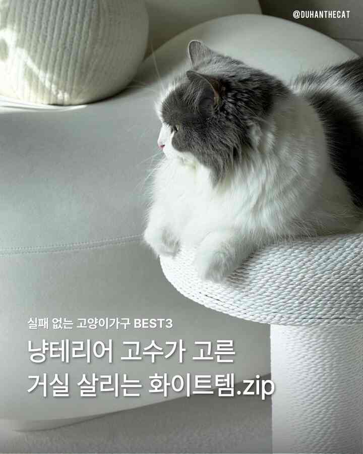 執事の好みと猫の幸せがとどまる場所
：ホワイトニャンテリアテム

猫と一緒に暮らす、
執事の好みとペットの本能は 
平行線ではない場合が多いです。

長い好みのミニマルなリビングルーム
最初からその場にいたように自然に染み込んだ瞬間、 
お互いの動線と美感が交差する地点を探してみました。
 
私の好みでいっぱいの空間で
猫がリラックスして身を任せてゴロング距離はちょうどそのポイント、🤍

＃猫用品＃執事日常＃猫の部屋＃猫のインテリア＃猫のスクレッチャー＃猫の用品＃ペットテリア 
＃キャットタワー＃キャットポール＃キャットテリア＃キャットタワーおすすめ
＃キャットタワーおすすめ＃ホワイトキャットフォール＃猫トイレ＃ホワイトキャットタワー＃猫ラグ 