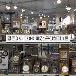 나고야 여행 갔다가
한 번 들려본 덜튼 🇯🇵🤍
근데 여기 완전 개미지옥이네요!
눈에 보이는 건 다 예쁘고,
손이 가는 건 왜 다 필요해 보이는지…
시간 가는 줄 모르고 신나게 구경하면서
사진 한가득 찍어왔어요📸
(사진 장수 제한으로 나눠서 올려볼게요⁼̴̤̆◡̶͂⁼̴̤̆ ) 
#예쁜템최고야   #콘수프기록집 #예쁜살림템 #예쁜템 #저울 #덜튼 #dulton #일본여행 #일본쇼핑 #버터나이프 #휴지통 #쓰레기통 #스테인레스 #예쁜소품 #예쁜템 #컬러소품 #신혼부부 #신혼집 #신혼집인테리어 #신혼집꾸미기 #집꾸미기 
