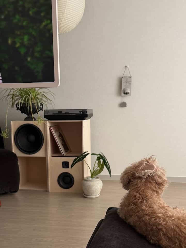 ナチュラルカラーのリビング、ソファとスピーカー、快適に座る犬がおり、ミニマルな雰囲気のあるインテリア