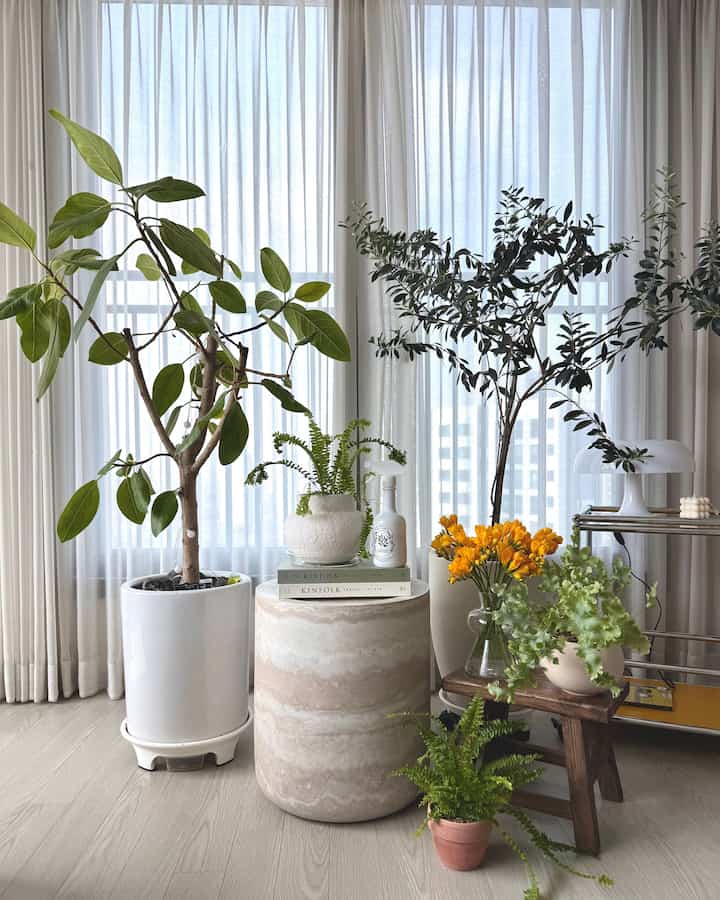 
リビングルームのところに家の緑を集めて撮ってみました🌱
たくさん殺して見て生き残った子供たち  #사이드테이블 #대리석테이블  #식물인테리어  #스툴인테리어 #홈스타일링 #오늘의우리집 #식물추천 #고사리 
