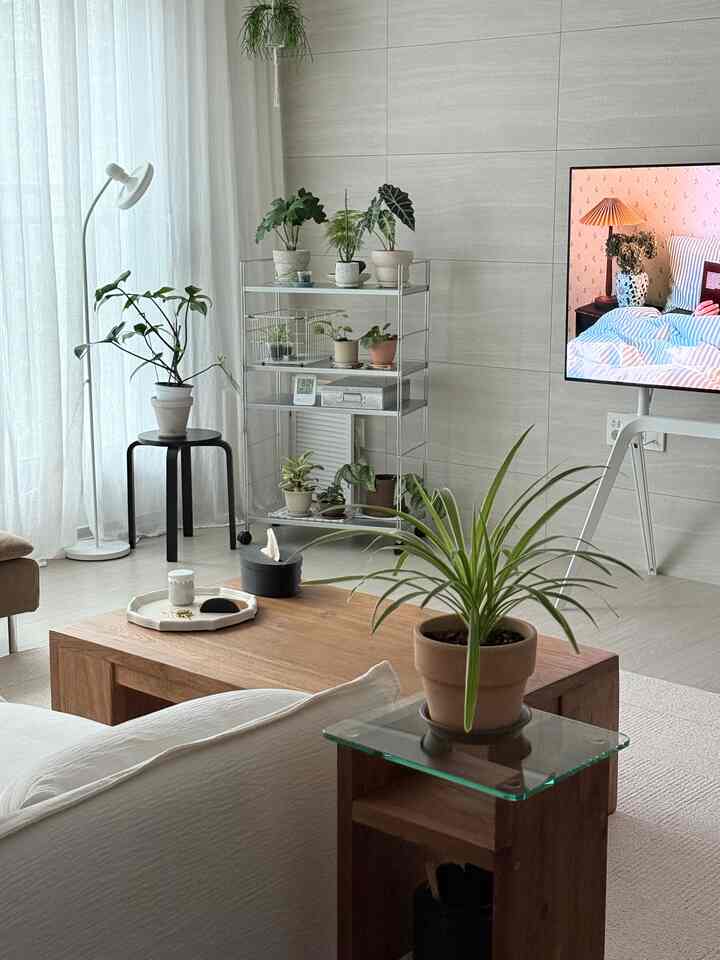 普段目がリラックスした暖かい色味が好きなので、なぜか自然に私たちの家もウォームトンスタイリングに仕上げます🍪

ワームトーンをホワイト系と適切に混ぜれば、よりスッキリとスタイリングが可能ですよ！ 



＃春ワームインテリア＃コンスープ記録＃ウォームトンインテリア 
＃リビングスタイル＃リビングインテリア＃ホワイトインテリア
＃ウッドアンドホワイト＃ホワイト＆ウッド＃原木家具 
＃リテールテーブル＃リネンソファ＃リネンカーテン 
＃ウォッシャブルソファ＃きれいなインテリア＃セルフスタイリング 
#セルフインテリア 
＃新婚旅行スタイリング＃バンセルフインテリア＃ウッドインテリア 
＃ワビサビ＃クリーンハウス＃インテリアオブジェ 
#プランテリア #植物のある家 