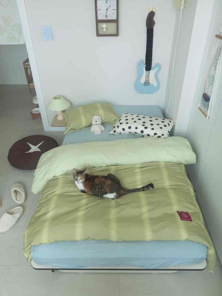 ナチュラルカラーのコンパクトな寝室、ベッドの上に猫が寝ていて、壁にはギター型の装飾と時計が配置された雰囲気のあるインテリア