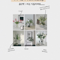 #콘수프기록집 #조화추천
가짜식집사의 내돈내산 조화 모음.zip🌷🌱
플랜테리어 하고 싶은데 식킬러라구요??
햇빛이 안들어와서 화분 키울 자신이 없으시다구요??
생화 사면 일주일도 못가고 시들어서 돈이 아깝다구요??
괜챠나요!! 우리에겐 조화가 있쟈나요!!😎
저는 미니멀인테리어를 지향하면서도
수납장이나 테이블 위에
화병이나 화분이 있어야 좋더라고요🪴
최근에 구매한 조화부터 
3년 이상 된 조화까지
가격도 착해서 내돈내산하여 잘 사용하고 있는
저희 집 조화들을 소개합니다🫶🏻
🏷️ 영이오브제 | 망고튤립조화
🏷️ 소품가 | 호접란꽃다발세트
🏷️ 그리밋ㅣ리얼플랜트박쥐란
🏷️ 데팡스ㅣ파키라그린잎조화화분
🏷️ 영이오브제 | 올리브가지그린조화
🏷️ 영이오브제 | 소프트블루조화꽃다발
#구축인테리어 #미니멀인테리어 #화이트인테리어 #소형평수인테리어 #아이있는집인테리어 #육아인테리어 #식집사 #가짜식집사 #플랜테리어 #조화플랜테리어 #예쁜조화 #리얼한조화 #조화추천 #가성비조화 #조화화분 #튤립조화 #파키라조화 #호접란조화 #올리브조화 #박쥐란조화 #내돈내산 #봄집꾸템
#봄집꾸 #봄인테리어