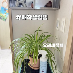 #애착살림템 #콘수프기록집 
유리세정제???유리 코팅제?????ㅋㅋㅋ
저 정말 이 제품 쓰고는 다른거 못써요!!!!
거울 닦을때 뿌려서 도포타월로 한번 닦고
마무리 타월로 한번 닦으면 손자국도 안생긴답니다!!!
또 유리 외에도 수전도 가능하구요!!!
특히나 문 도어락 지문이 많이 남는데...
이 제품으로 한번 닦아두면 지문이 안남아요!!!ㅋㅋㅋ
손에 기름기나 핸드크림이나 뭐 그런거 묻혀서 자국을 남지만...
그외에는 자국 절대 안남구요!!!
주변에 추천 많이 해줬는데.....
다들 극찬!!!!ㅋㅋㅋㅋㅋㅋㅋㅋㅋㅋㅋㅋㅋㅋㅋ
가격도 좋으니 진짜 한번 써보셔요!!!!