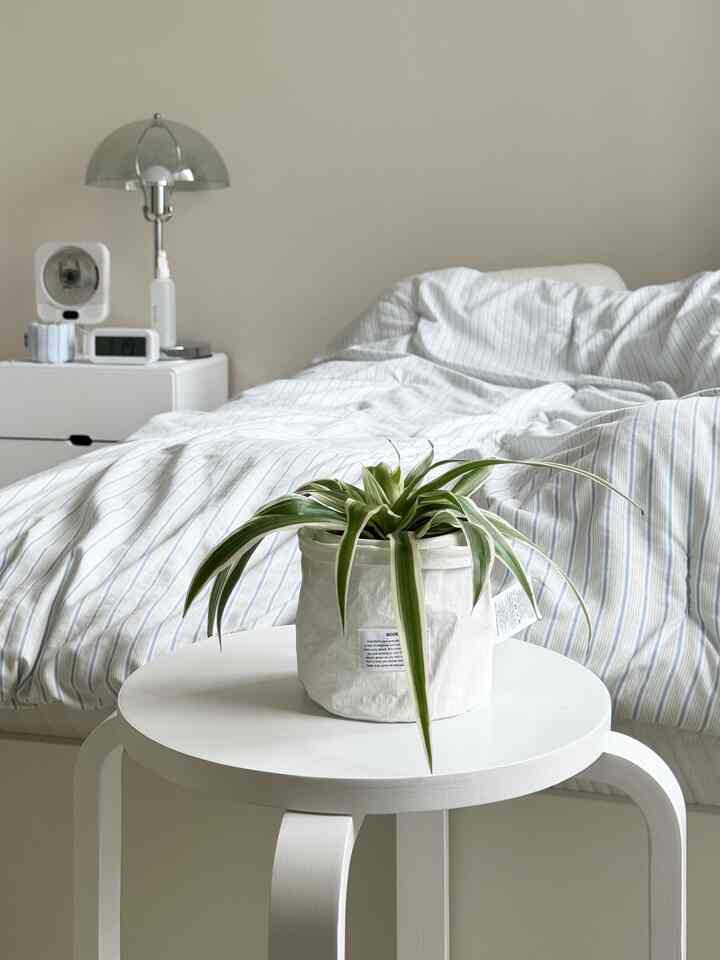 ＃春のワームインテリア＃FTC23 

最近家の雰囲気を少し変えてあげたい
植物から一つずつ持っています 🌿

大きな家具や寝具はそのままにして、
小さな変化だけを与えたのに
空間がずっと暖かくなった感じ… ！

季節変わるたびに変えるCDも
今回は春とよく似合うことで🌼
さわやかな雰囲気を生かすのにぴったりです。

こんなに少し変えるのが
最近私の春のルーチンです◡̈

＃ワンルームインテリア＃ワンルーム＃フランテリア＃植木鉢＃ナビラン
