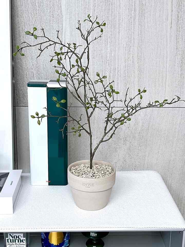 ＃コンスープ記録集 
春を迎える家の雰囲気を変えてみようとマオリの鉢植えを買いました。
スツールやテーブルの上に軽く乗せておいても
リビングルームの上に感性が加わる植木鉢です。💚
枯れない植物なのでもっといいです！
調和なのかよくわかりませんか？
写真がよく出てきます🏡🪴

＃マオリ＃緑＃植物インテリア＃植物＃植物デコ＃調和＃調和インテリア＃調和木＃プランテリア＃植木鉢 