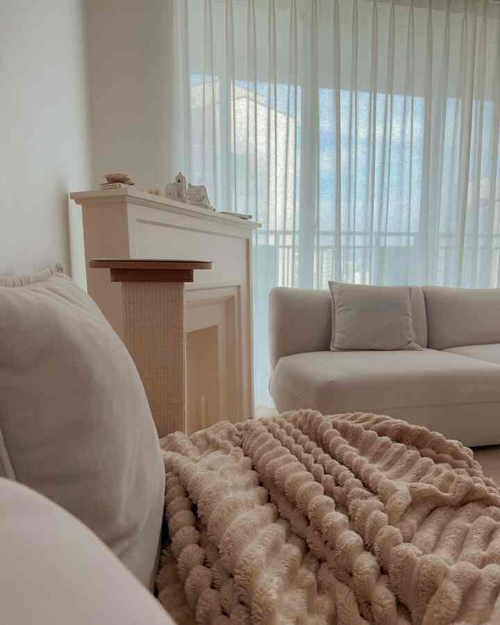 日曜日の昼間、リビングルームで猫と休む時間◡̎ 
ひざが二匹抱きしめて幸せな執事🤍

＃コンスープ記録集