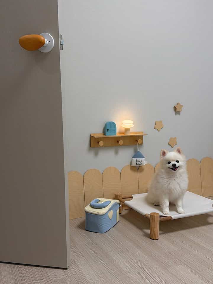 #협찬 

生活の痕跡で訪問ノブの塗りがあちこち剥がれて 
見たり写真を撮るたびに物足りなさが大きかったのに、 
直地ハンドルの石畳のハンドルに交換して大満足です！

滑らかで丸みを帯びた石畳のデザインで、ドアを開け閉めます 
たびに手のひらに触れる肌触りまでヒーリングそのものです ෆ 

きれいな違いでもっときれいな私たちの家🫧🚪🤎
交換方法も難しくなく、訪問ノブの交換 
あなたが悩んでいるなら、私は地面のハンドルをお勧めしますෆ  #홈스타일링 #우드인테리어