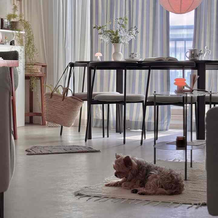 #예쁜템최고야 #콘수프기록집 

我が家のダニも好きなコットンラグ🤍
リビングルームにも寝室にもトゥク置くだけ
感性溢れる :) #코튼러그 #홈스타일링 #홈데코 #거실꾸미기 #거실인테리어 #소품스타일링 