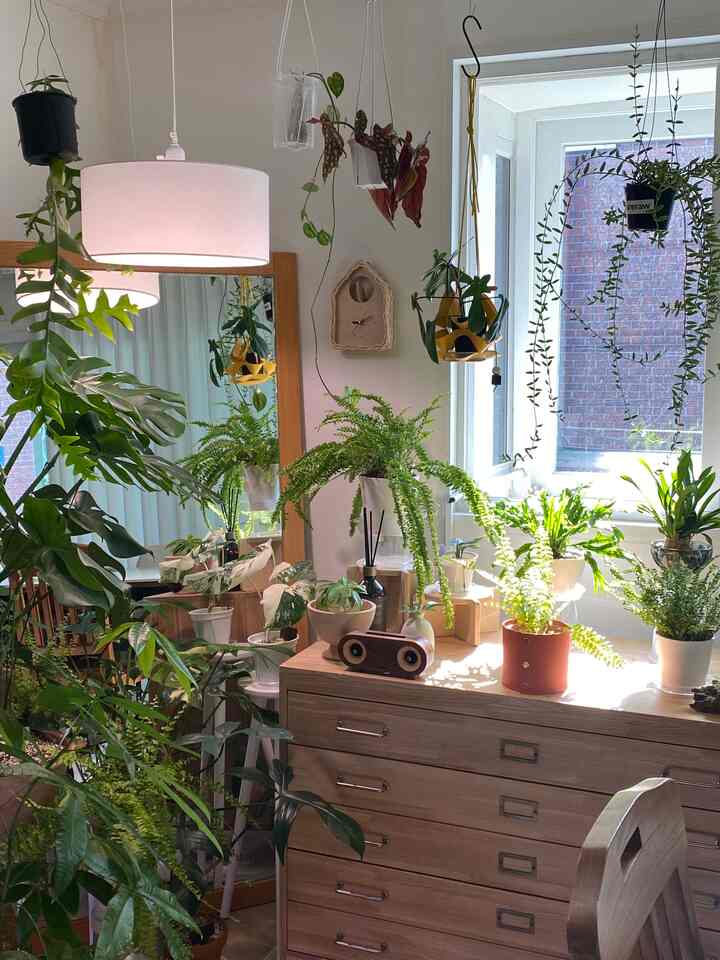 ＃コンスープ記録集＃今日の私たちの家3

植物サンバーストゾーン🌿✨

植物と日差しは愛です。キラキラ。
目と心に日差しがいっぱいの瞬間。

私は最近スランプに陥り、寂しい距離に苦労しました。
やっぱり日差し満載の緑を見る瞬間
目と心に湿気いっぱい🥹💛✨ 
慰めを受けました。またどれくらい綺麗か目も好川。
私が何をしてくれたのか、いつも愛をあげましょう🌿
。
。
。
＃植物＃植民地時代＃プランテリア#原木家具 
