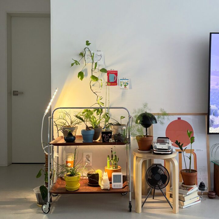 short form carousel card thumbnail