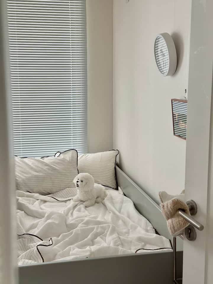 昼間の温度が20度ぐらい上がるから、汗多くの息子たちはすでに
コートも拒否して登校します😇

こうしてすぐに「お母さん暑くて眠れません…」しようかな 
箱舟がいなかったらホロロック夏の布団に交換してくれました˃ᵕ˂

実はシアサーカーは独特のカッコいい感じのため
個人的に好まない生地でしたが、

フラッグスノーリップルシアサーカー
さりげなくサラサラと柔らかい肌触り
これが本当のシアサーカーに合いたいほど感じが違いましたね✨

片側はスノーリップルシアサーカー、反対側は柔らかい60水の正面だ。
両面で好みに合わせて使えるのも良かったし、
薄い一体型布団で覆われたときに軽くて涼しい感じです。

感性的なブラウンストライプにクリーム色の組み合わせです。
涼しいけどまたふわふわの感じまであって
子供部屋の雰囲気はとてもよく似合います🤎

大韓アトピー協会おすすめ認証製品だから肌鋭敏な二つ目が先に使っているのですが、まずは他の色でもう一つ色を注文してみましょう🤍

 ෆ羽根_トビーシアサーカー夏布団ssクリームブラウン


＃今日の私たちの家＃コンスープレコードハウス＃子供部屋インテリア＃子供部屋寝具＃子供部屋ベッド＃小学生部屋＃アルミブラインド＃息子の飾り＃夏の布団＃シアーサーカーの布団＃ムータ共役者ハンガー 