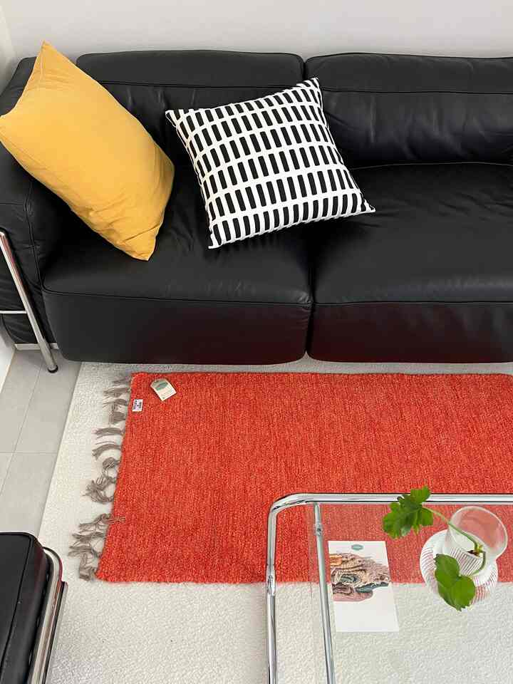 ラグ満足度最上🧡💛🖤🤍💚

＃賢明な消費＃コンスープ記録集 
＃リビングインテリア＃ソファインテリア＃ラグインテリア＃ポイントインテリア＃ミニラグ＃バルマット＃植物インテリア 