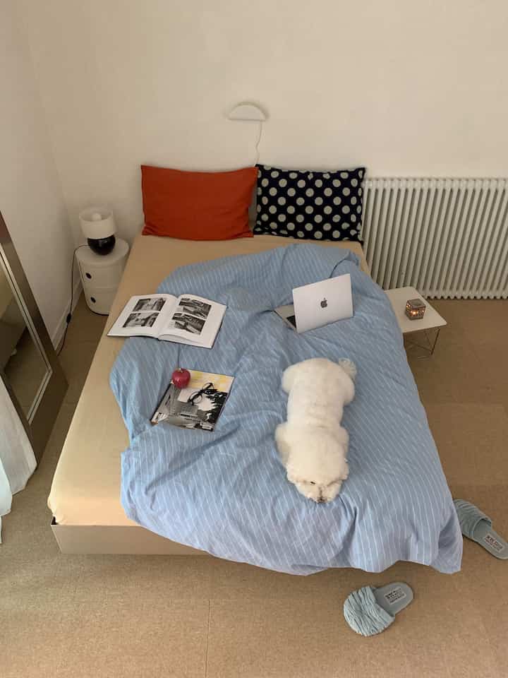 柔らかなパステルトーンの寝室、中央にベッドとペットの犬が配置され、壁の照明がある雰囲気のあるインテリア