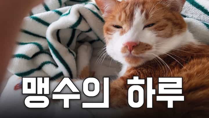 ＃賢明な消費＃コンスープ記録集 

我が家の猛獣とカップルルックでパジャマを買いました！

🐈ツンゴYouTubeで遊びに来てください。

#ザルサンテム #ザルシャムテム 
