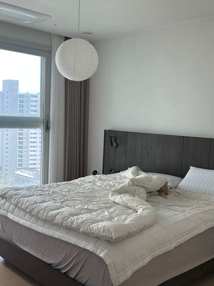 #콘수프기록집 #오늘의우리집 
猫の洞窟を作った猫の種
友達とヨンヒドンデートに行きます！  #한샘침대 #침대 #베개커버추천 #침실인테리어 #안방 #안방인테리어 