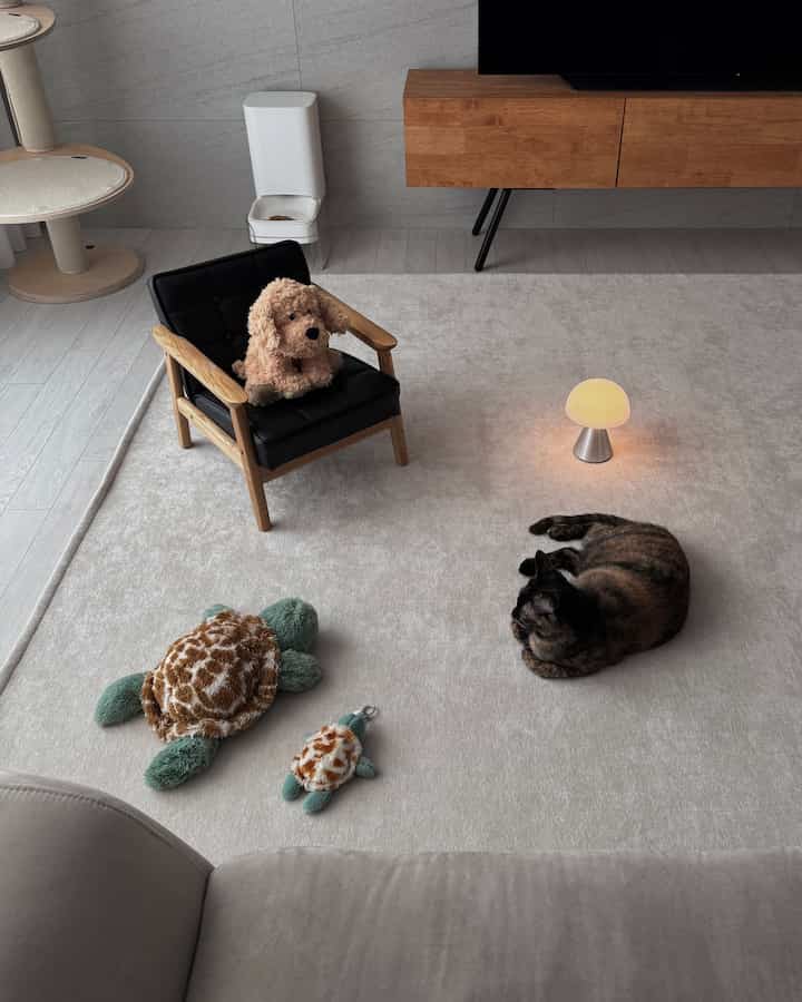 アイボリー色のラグと木目調家具が配置されたリビング、猫とキャットタワー、テーブルランプがあるモダンな空間