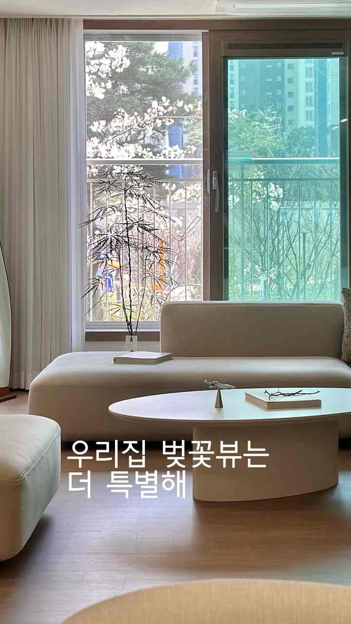 #콘수프기록집  #벚꽃뷰 #뷰맛집 #저층뷰 #거실 #거실인테리어 #광폭거실 #초록뷰 #꽃
