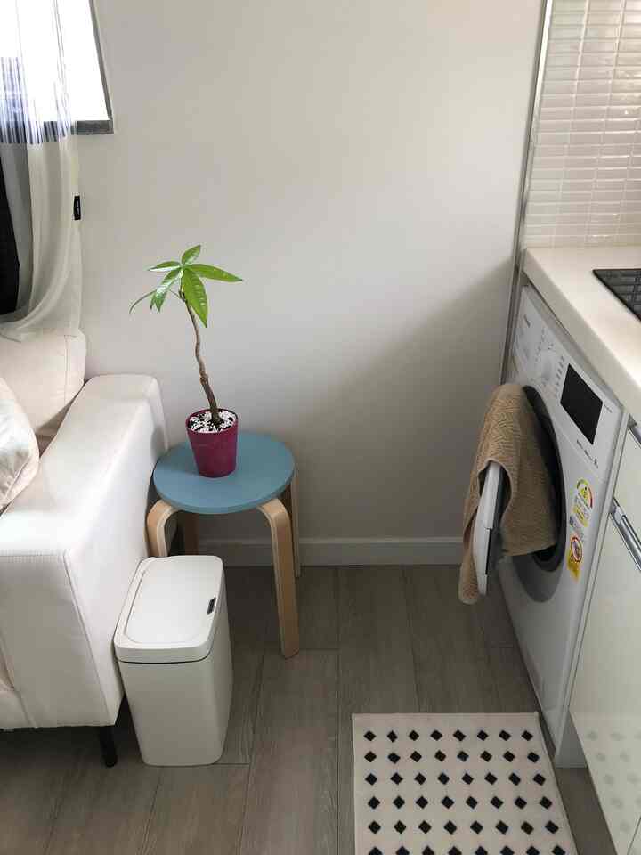 Small living space with white walls and sofa, featuring a blue stool with a potted plant, washing machine, and partial kitchen view for a cozy interior