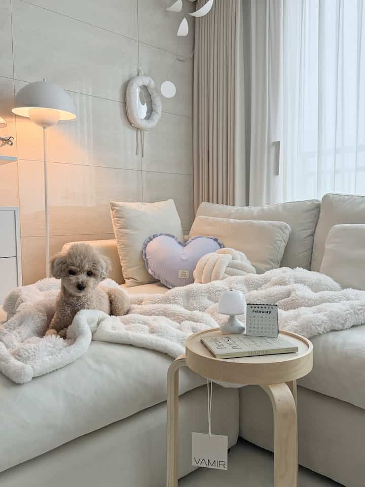白とベージュのトーンのリビングルーム、クッションを置いた大きなソファと柔らかいブランケットの上に座る犬が印象的な雰囲気のあるインテリア