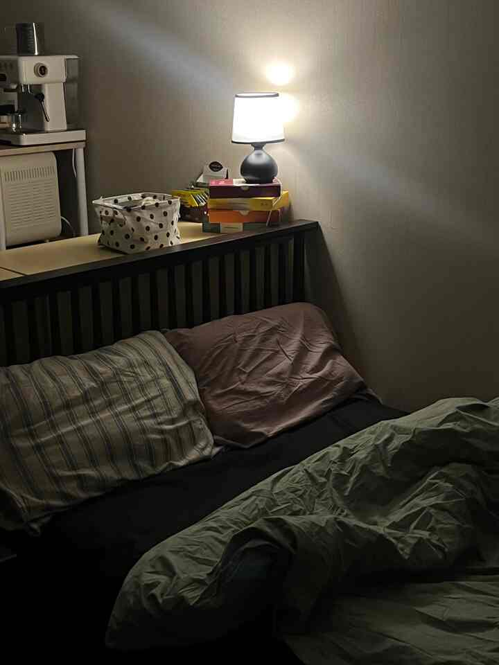 暗いトーンの寝室、ベッドとベッドサイドに置かれたテーブルランプが落ち着いた雰囲気を演出しているインテリア