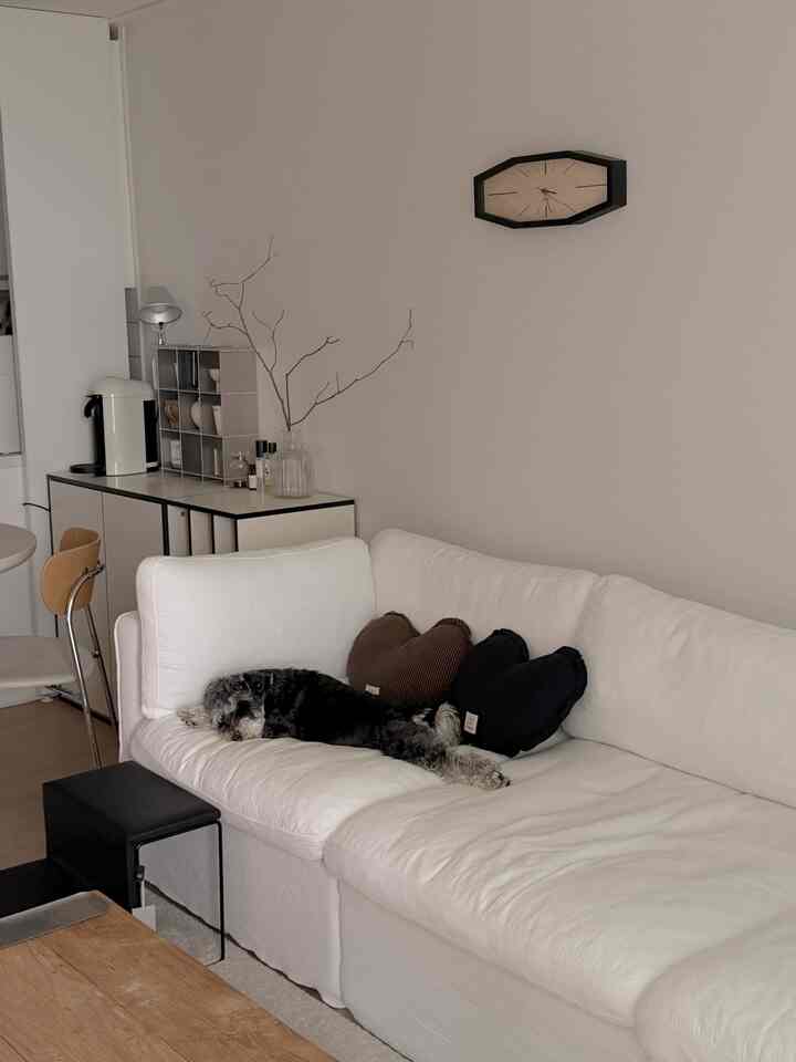 柔らかな白と茶色のトーンのリビング、大きな白いソファの上に休む犬がいる落ち着いた空間