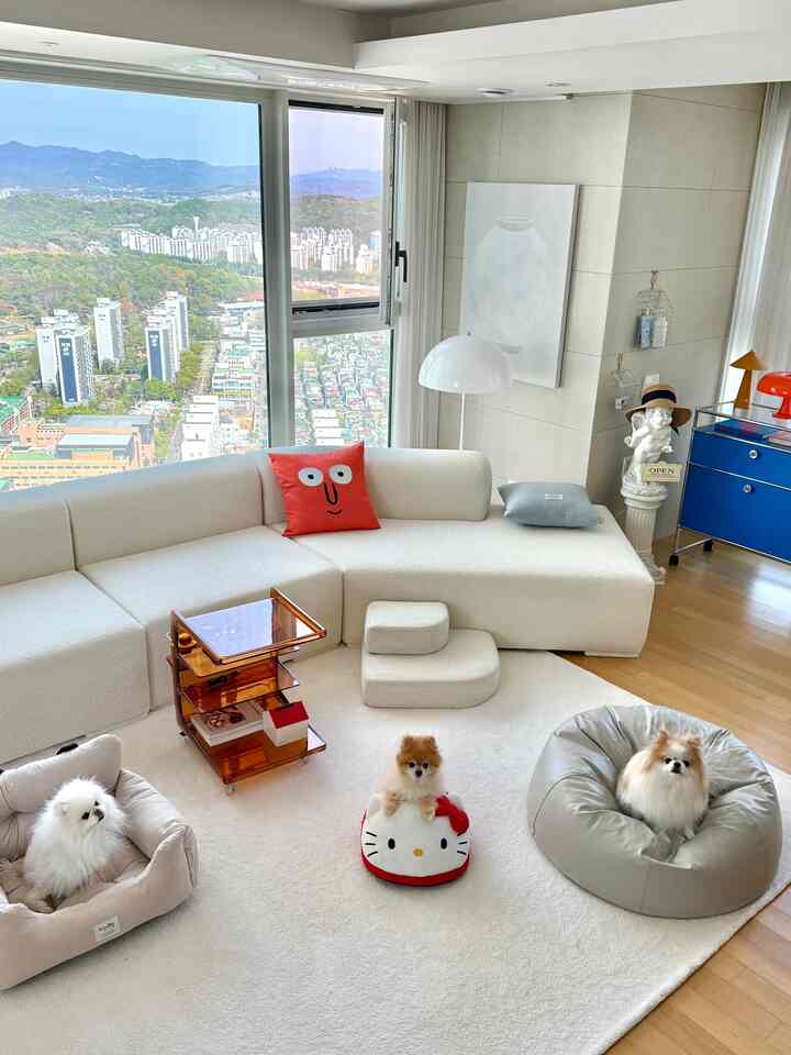 ホワイトトーンのリビングルーム、大きなソファとペット用ベッドにいる3匹の犬が配置された雰囲気のある空間