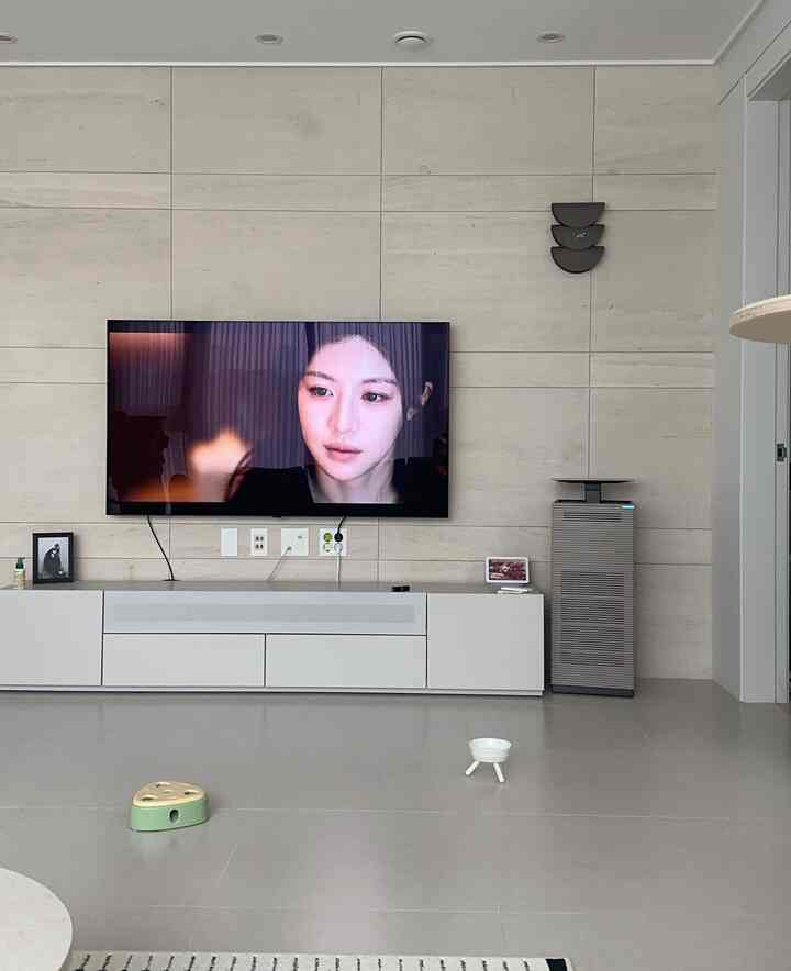 白とベージュのモダンなリビング、テレビとテレビ台が配置され、床に犬用食器が見える雰囲気のあるインテリア