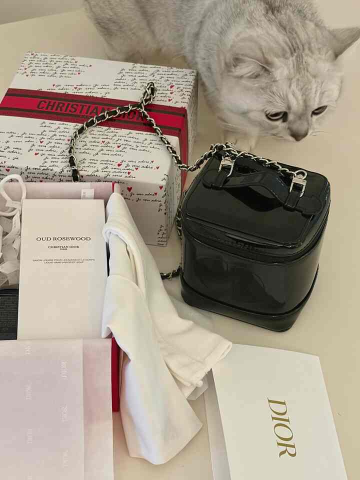 白い背景にクリスチャンディオールの包装と黒いチェーンのミニバッグ、右上に猫がいる白黒の調和のとれたインテリア