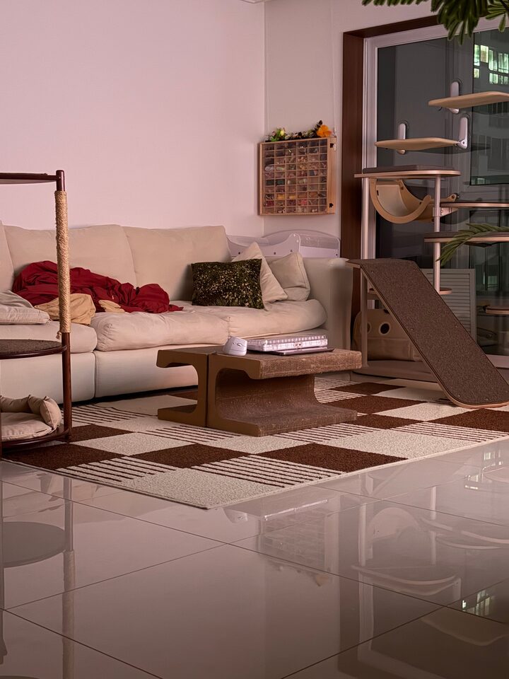 short form carousel card thumbnail