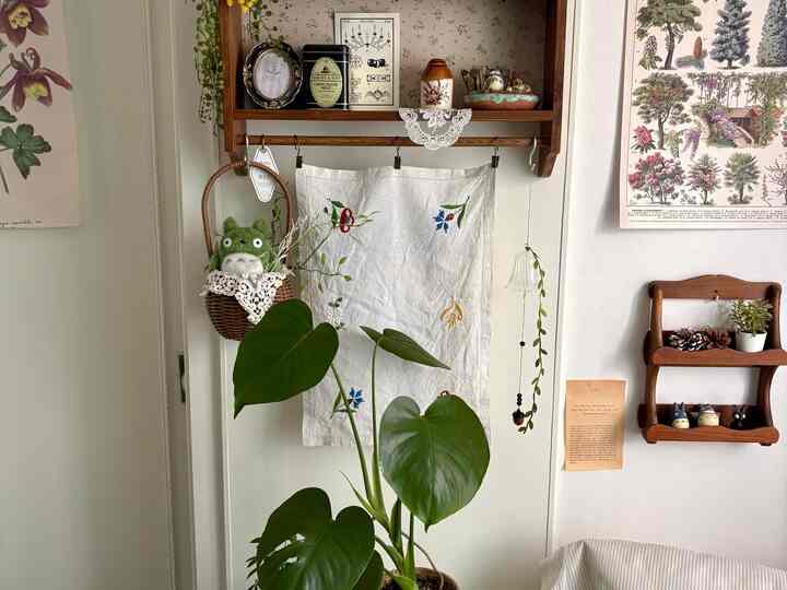 ナチュラルな色調の壁掛け棚と植物が配置された雰囲気のあるウォールデコ空間