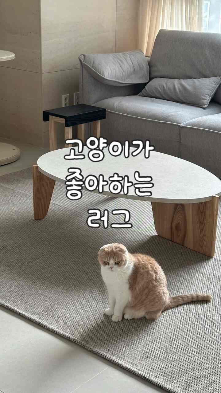 #예쁜템최고야 #콘수프기록집 #라익디스러그 
春のリビングルームのイメージは変身しました🤍 
テクスチャパターンがどこか寂しい私たちの家の居間にポイントになって
見るたびにとても好きなラグです。
四季折々のラグで、柔らかくてふんわりして、カトジョイントにも
いいと思います。 （すぐにすぐに登ってきました）

すっきりとした雰囲気にLikethixラグのスタイリッシュな質感が加わりました 
空間に感覚的なポイントを完成させる..大大満足  #라익디스 #러그추천 #러그인테리어 #워셔블러그 