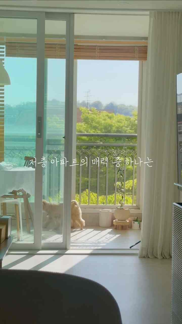#우리집추구미 

季節の変化を最も大きく体感されるのは
木々の変化のようです。
夏が鼻の前に来たのか
ベランダの向こうにとんでもない爽やかさがいっぱいになりました💚

私の家は低層なので木が近い 
季節ごとに変わる風景を見ることができます。 
私が私の家を愛するもう一つのポイントです🫶🏻

このビューを見る
私が求めていた 
清潔で暖かい雰囲気の家で飾ることができると思います。
すぐに契約しました！ ㅎㅎ

あなたの家はどんな魅力を持っているのかコメントで教えてください！  #오늘의집인테리어 #화이트우드인테리어
