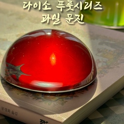 #현명한소비 #콘수프기록집 #맞팔 #다이소템
#문진 #원형문진 #데스크소품 #다이소추천템 
#데스크용품 
다이소에서 귀여운 과일 문진 데리고 왔어여🍅🍏
상콤하죠🥰