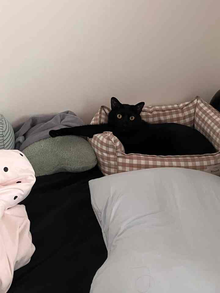 隣の席で寝ている眠るブドウ…💜
永遠の私のガムチキンになってほしい!! 💜

＃コンスープ記録集 