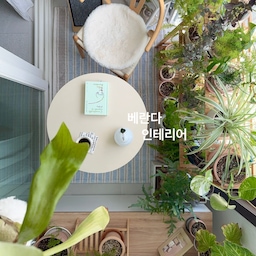 #우리집추구미
싱그러운 식물들이 함께하는 따스한 공간을 추구해요.
식집사답게 베란다에도 식물들이 가득해요.🌿
방에서 일하다가 답답할 땐 베란다에서 시간을 보내곤 해요.
캣타워도 같이 배치해서 냥이들도 저도 힐링할 수 있는 공간으로 꾸며뒀답니다.🐈
이번에 깐깐공주 매트로 교체했는데 공간 무드가 달라져서 더 애정하게 된 공간이에요🤭
#베란다 #베란다인테리어 #베란다꾸미기 #수납의자 #라탄의자 #식탁매트 #매트추천 #깐깐공주 #러그 #캣타워 #식물 #식집사 #플랜테리어 #원형테이블 #테이블추천 #홈카페존 #카페존 #커튼 #린넨커튼 #보스턴고사리 #루미르조명 #림인시스 #컵 #아파트인테리어 #집꾸미기 #작은공간 #공간활용 #베란다정원 #베란다활용법 