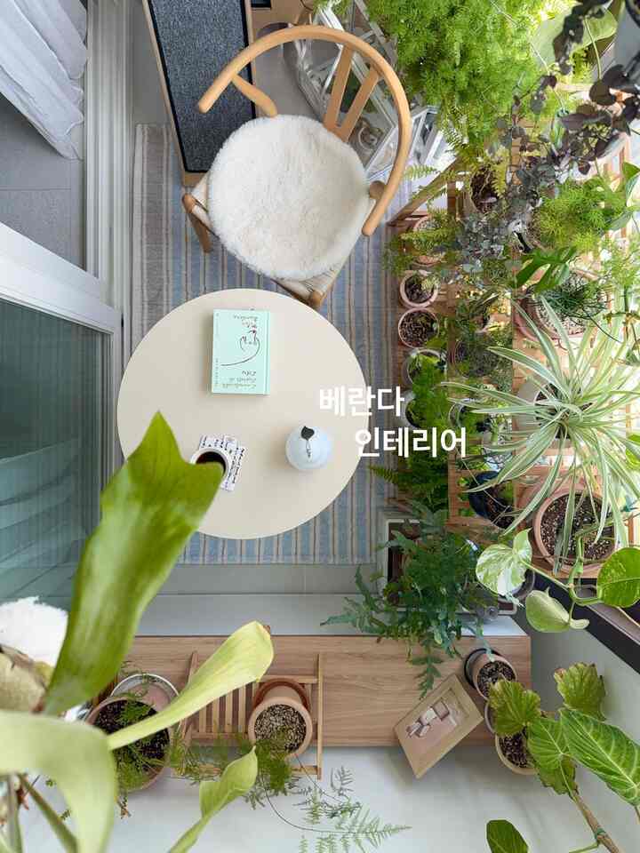 #私たちの家

さわやかな植物が一緒にする暖かい空間を追求します。

植民地らしくベランダにも植物がいっぱいです。🌿

部屋で働いていると、苦しい時はベランダで時間を過ごしています。

キャットタワーも一緒に配置してニャンドゥルも私も癒すことができる空間に飾っておきます。 🐈

今回はカンカンプリンセスマットに交換しましたが、スペースムードが変わって、より愛情になったスペースですよ🤭


＃ベランダ＃ベランダインテリア＃ベランダインテリア＃収納椅子＃ラタンチェア＃ダイニングテーブルマット＃マットおすすめ＃カンカンプリンセス＃ラグ＃カップ＃アパートのインテリア＃家の装飾＃小さなスペース＃スペース活用＃ベランダガーデン＃ベランダ活用法 