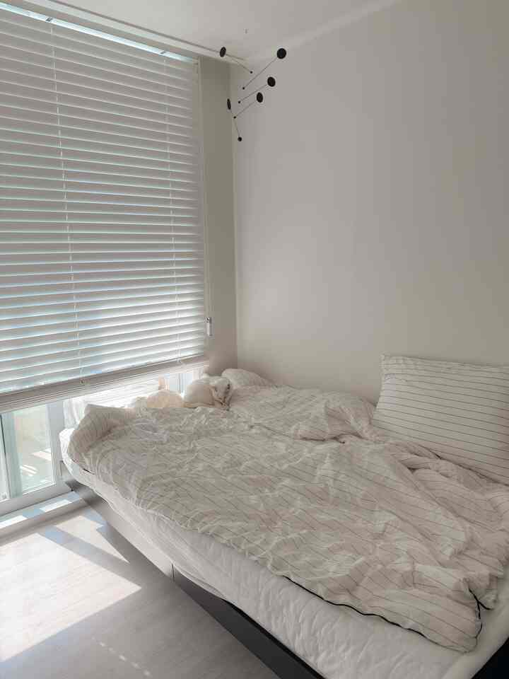 白くて穏やかな寝具の上で猫の昼寝の時間🐱💤🤍

＃コンスープ記録集